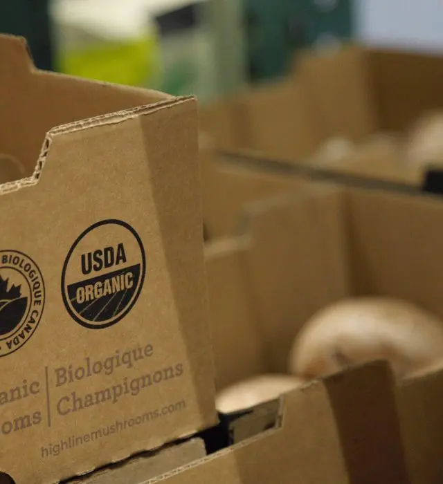 Cardboard produce boxes stamped with the USDA Organic seal.