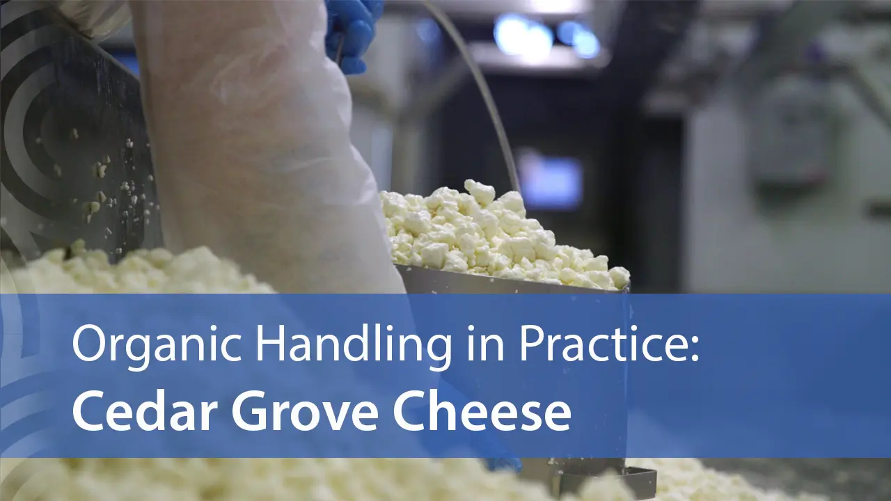 Organic Handling in Practice: Cedar Grove Cheese