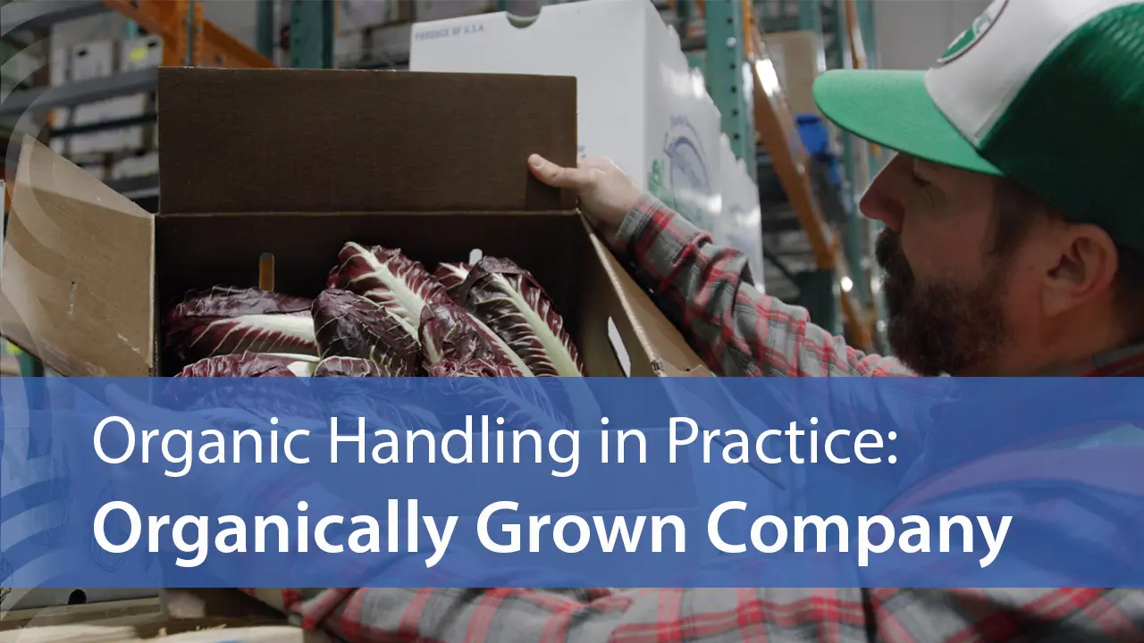 Organic Handling in Practice: Organically Grown Company