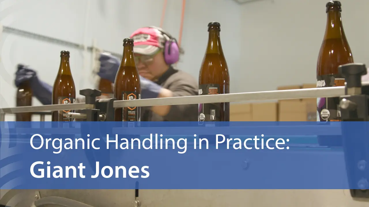 Organic Handling in Practice: Giant Jones
