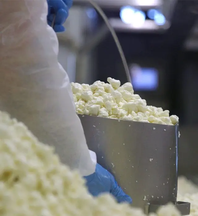 Organic Handling in Practice: Cedar Grove Cheese