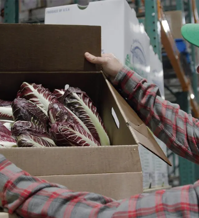 Organic Handling in Practice: Organically Grown Company