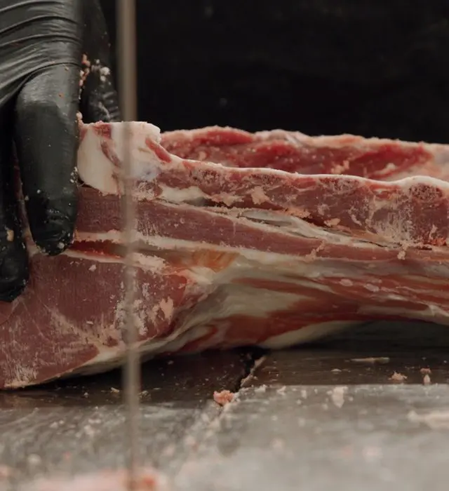 Organic Handling in Practice: Sailer’s Food Market & Meat Processing