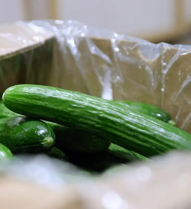 Whole cucumbers packed into a corrugated shipping carton lined with a clear plastic liner, the liner drawn up around the produce.