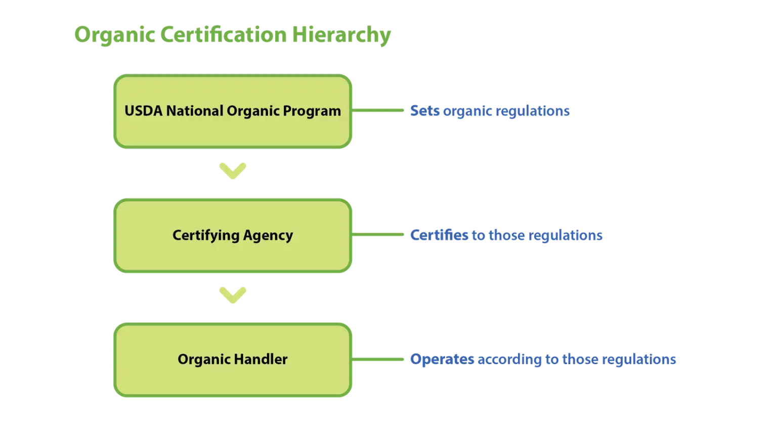 Organic certification hierarchy in three stacked boxes: the USDA National Organic Program sets the regulations, a certifying agency certifies to them, and the organic handler operates according to them
