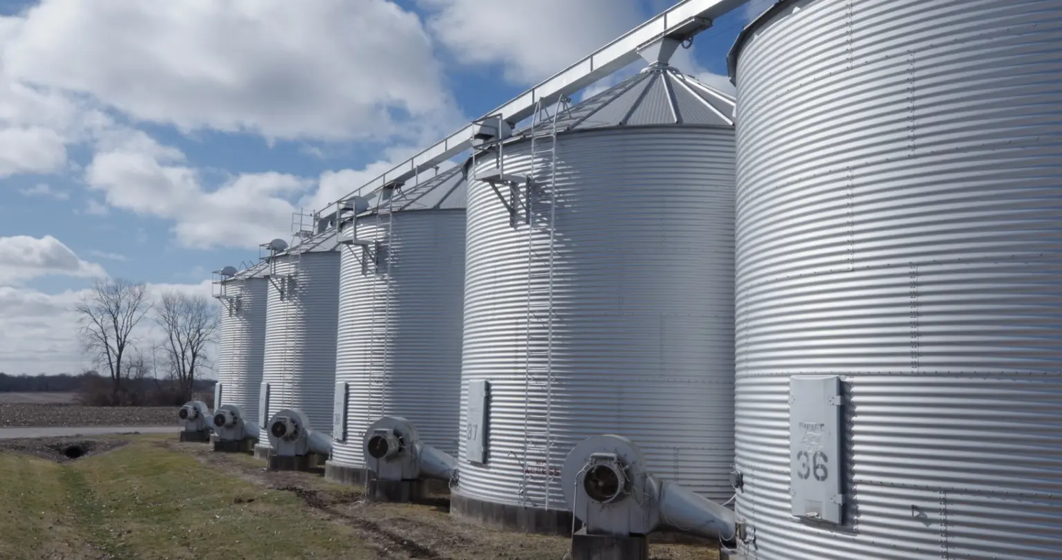 Row of numbered corrugated steel grain bins with aeration fans and an overhead conveyor at the edge of a field