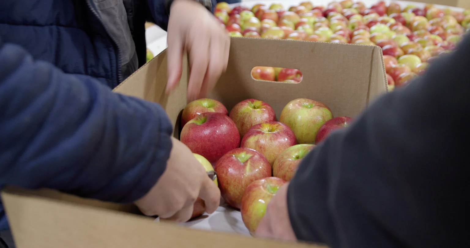 Welcome to Organic Handling