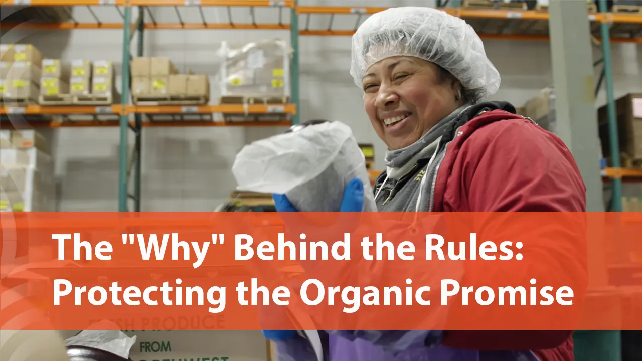 The “Why” Behind the Rules Video