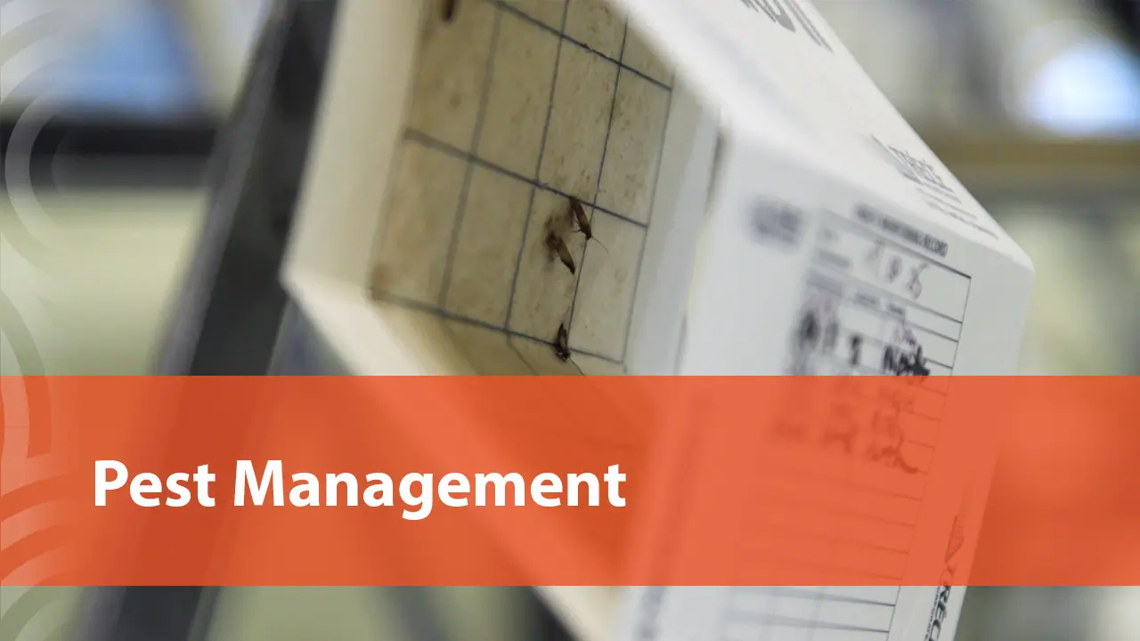 Pest Management