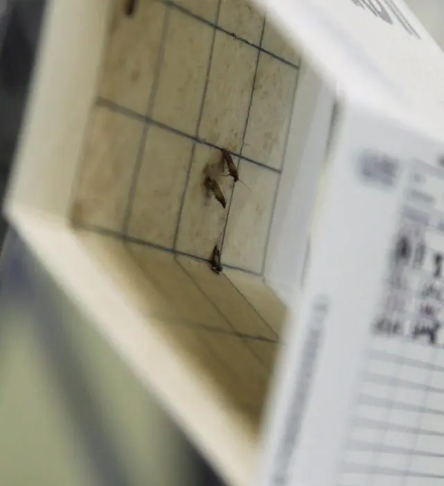 A pest monitoring card mounted inside a processing facility.